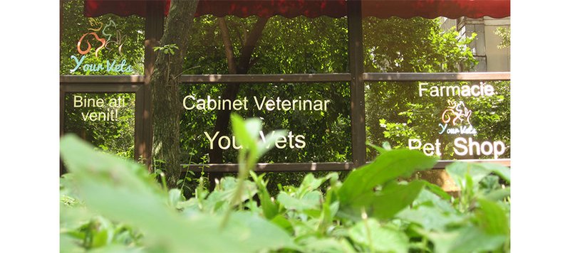 Your Vets - cabinet veterinar