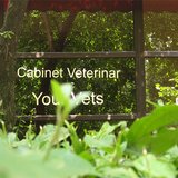 Your Vets - cabinet veterinar